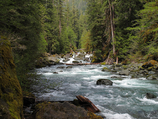 The Land and Water Conservation Fund has helped protect part of the world-renowned Olympic National Park. (Sean O'Neill/Flickr)