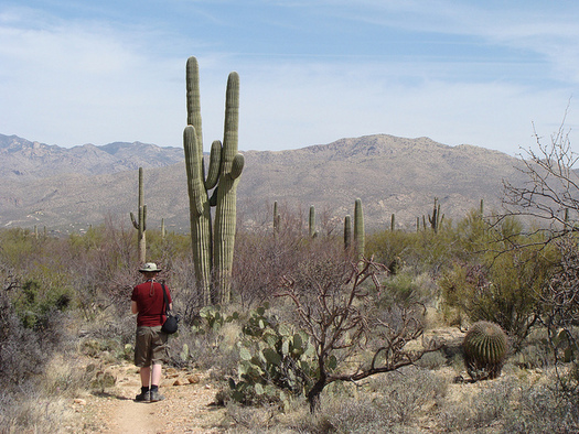 Saguaro National Park is among many sites in Arizona to have received Land and Water Conservation Fund support. (Jimmy Thomas/Flickr) 