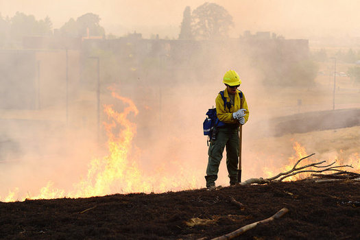 Firefighting costs for the U.S. Forest Service topped $2 billion in 2017. (April Davis/Oregon National Guard)