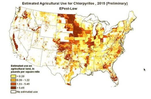 Chlorpyrifos, a widely used corn herbicide in Minnesota has been banned by the 9th U.S. Circuit Court of Appeals. (water.usgs.gov)