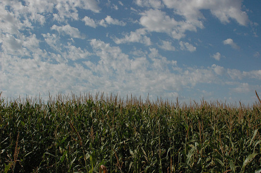 In 2016 and 2017, small refinery waivers wiped out about 2.2 billion gallons of biofuels obligations under the Renewable Fuel Standard. (Matt Dente/Flickr)