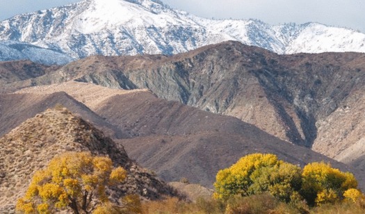 Snow National Monument in Southern California is one of thousands of public lands projects to receive Land and Water Conservation Fund dollars. (Bureau of Land Management)