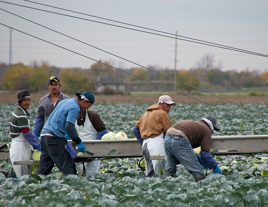 H-2A workers must be paid twice a month and receive a job description in writing, but FLOC says the U.S. Department of Labor isn't always enforcing the requirements. (Bob Jagendorf/flickr)