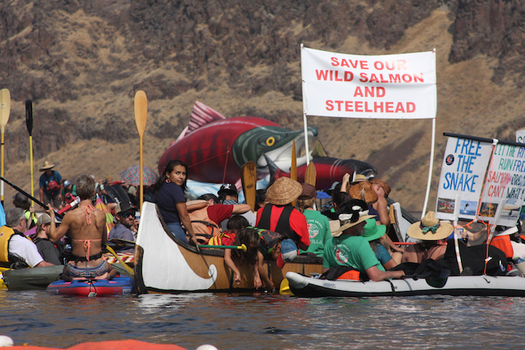 More than 400 people showed up to last year's Free the Snake Flotilla outside of Lewiston, Idaho. (Save Our Wild Salmon)