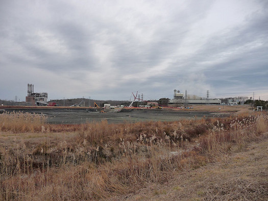 The ruling could affect more than 1,000 active and retired coal-ash ponds nationwide. (USFWS)