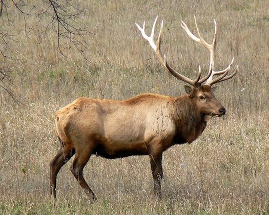 More than a third of the population, or 275,000 people, obtain hunting licenses annually in South Dakota. (wikipedia.org)