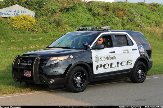 Besides responding to threats in the district, school resource officers help connect a child's education to their family life and the real world. (Raymond Wambsgans/Flickr)