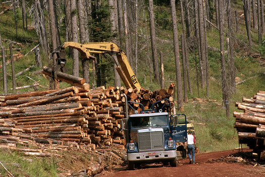Amendments to the 2018 Farm Bill could lead to more salvage logging on public lands. (U.S. Forest Service/Flickr)