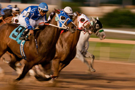 Idaho lawmakers overturned historical horse-racing terminals in 2015 because of their resemblance to slot-machine gambling. (Mark Bonica/Flickr)