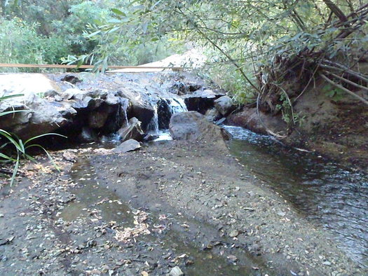 The joint project addresses erosion and sediment issues that still affect wildlife in the Angles National Forest. (SWCA Environmental Consultants)