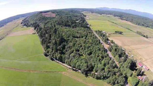 La Legislatura de Washington fonde un programa piloto para convertir la Cumbre Chimacum (Chimacum Ridge) en bosque comunitario. (Cortesa de Phil Vogelzang)