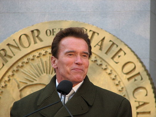 Former California Gov. Arnold Schwarzenegger helped pass anti-gerrymandering rules in the Golden State, and will rally for similar reforms in Michigan on Saturday. (Nate Mandos)