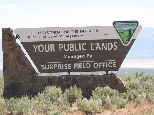 Eight in 10 acres of land in Nevada are federally owned, so public-lands issues are ever present in the state's political debates. (Bureau of Land Management/Flickr)