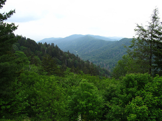 The Great Smoky Mountains are part of an International Biosphere Reserve helping to absorb carbon emissions. (Ken Lund/Flicker)