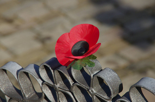 Armistice Day, also known as Poppy Day and Remembrance Day, was renamed Veterans Day in 1954. It is observed on Nov. 11 to recall the official end of World War I. (sasastro/Flickr)