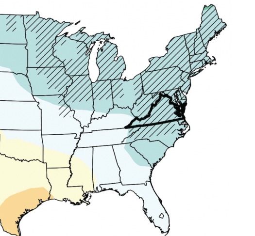 Virginia has a humid climate with very warm summers and moderately cold winters. (Screenshot/NOAA)
