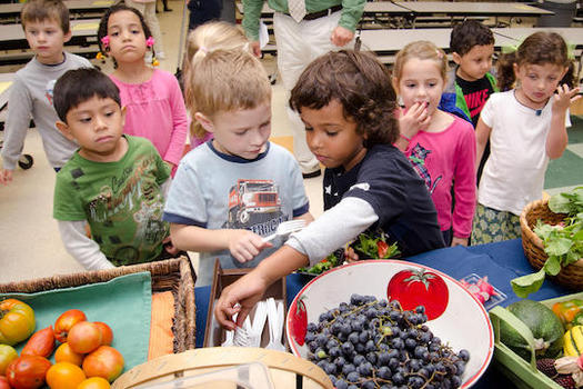 The Minneapolis Public Schools procured 130,000 pounds of produce from 15 farms in 2017. (wbaa.org)