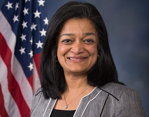 Rep. Pramila Jayapal, D-Wash., says domestic work makes other work possible. (U.S. House of Representatives)