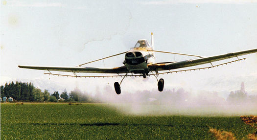 Scientists say the herbicide dicamba often drifts from the fields where it is applied, and ends up killing native plants and birds in nearby areas. (Pholiprids/WikimediaCommons)