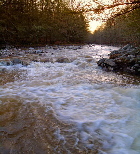 Mehoopany Creek in Wyoming County currently is protected by the 