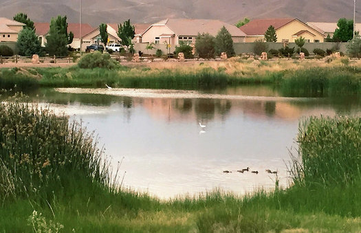 Thousands of vernal pools and seasonal waterways will lose federal protections if a new version of the 