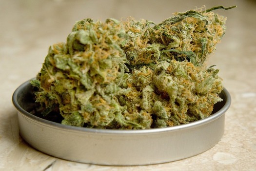 Ten states, including Massachusetts, Vermont and Maine, have legalized recreational marijuana. (vjkombajn/pixabay)