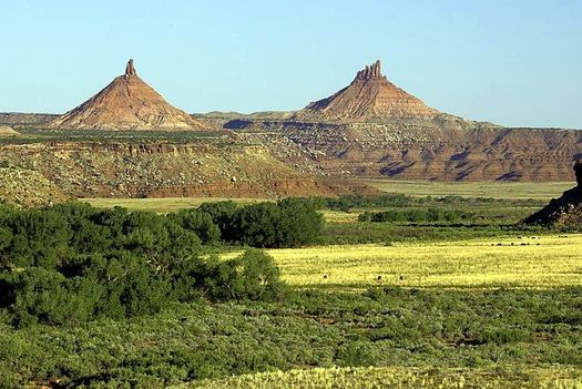 Under Ryan Zinke's watch, the U.S. Interior Department reduced the Bears Ears National Monument to 25 percent of its original size. (Bureau of Land Mgmt.)