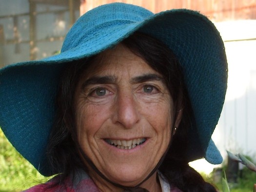 Elizabeth Henderson, who is speaking at a conference in Ohio, was instrumental in creating food justice certification labeling. (Courtesy of Elizabeth Henderson)