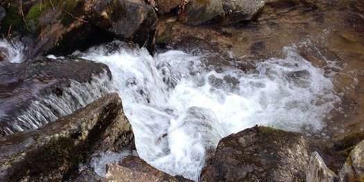 North Carolina has more than 4,000 miles of streams. (habenettTwenty/20) 