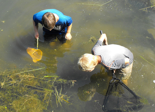 A former manager says every kids' camp should have sexual abuse prevention training for its staff. (Bureau of Land Management/Flickr)