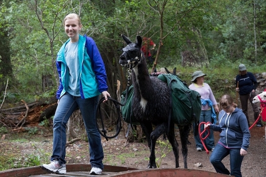 Tourists eager for a glimpse of New Mexico's wilderness and open spaces accounted for a $6.6 billion boost to the state's economy in 2017. (taos.org)
