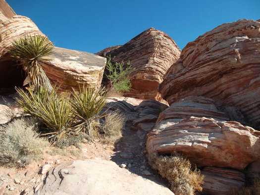 Red Rock Canyon is still open during the shutdown but the vistor center and bathrooms are closed. (Kconnors/morguefile)