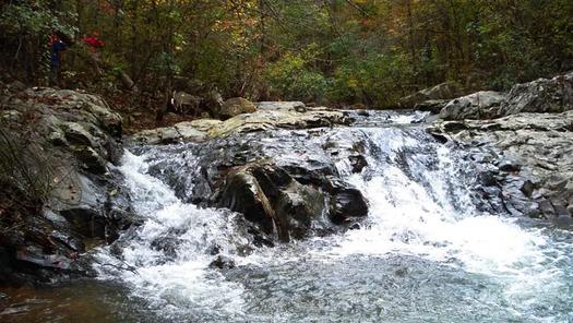 Additional parts of the Flatside Wilderness may soon get permanent protection, more than 30 years after lawmakers established the current boundaries. (Kirk Wasson)