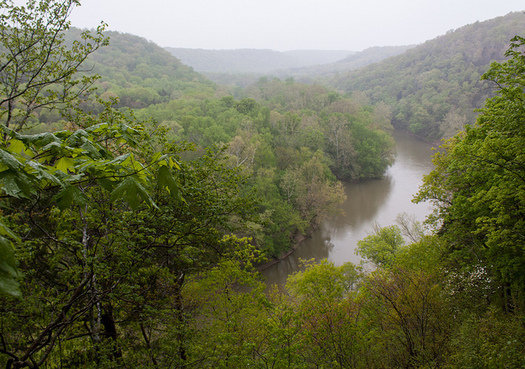 Kentuckians fighting pollution flowing into the Green River are concerned that weakened Clean Water Act protections could hurt their case. (PatrickRohe/Flickr)