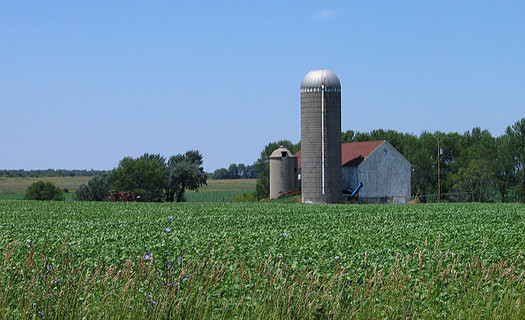 Wisconsin farmers should feel good about the new farm bill, according to one agricultural analyst. (Michael Pereckas/Flickr)