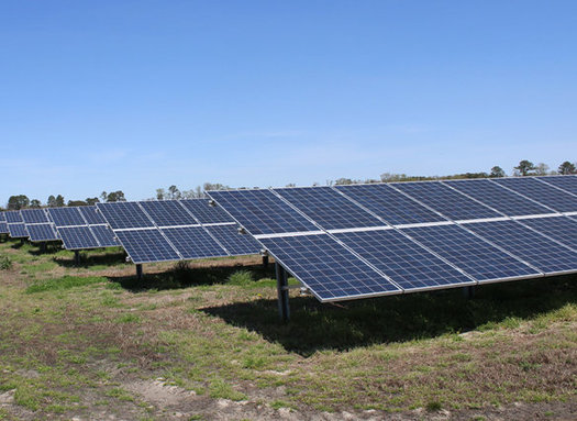 In signing Executive Order 80, Gov. Roy Cooper said, 