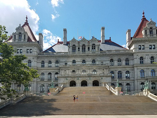 More than 30 New York state lawmakers have been forced from office for ethics violations or criminal convictions. (LoveBuiltLife/Pixabay)