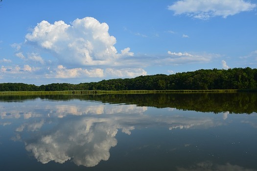 Chesapeake Bay is in danger of increased pollution from rivers and streams. (mcfisher/Pixabay)