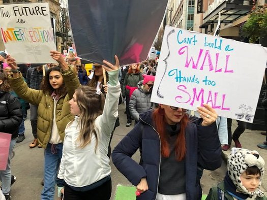 This year, 46 women serve in the North Carolina General Assembly, the most ever. Nationally, the current Congress is the most female and racially diverse in U.S. history. (Women's March On Raleigh)