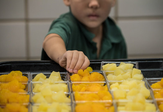 During the 2017-2018 school year, Nebraska Farm to School reported $2.7 million in total local food purchases. Products included melons, various vegetables, chicken and milk. (USDA)