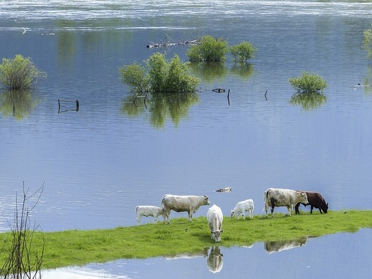 Flooding has cost Iowa residents, businesses and farmers about $18 billion over nearly three decades, according to a 2018 University of Iowa study. (Pixabay/werner22brigitte)