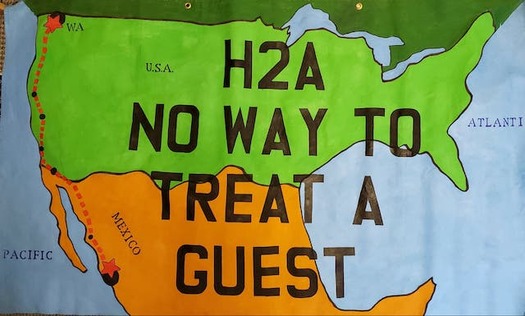 Washington state expects 30,000 guest workers from the H-2A program this year. (Brenda Bentley/Community to Community Development)