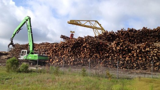 Enviva is one of the largest producers of wood chips and pellets in the world, and plans to expand production in North Carolina. (Southern Environmental Law Center) 