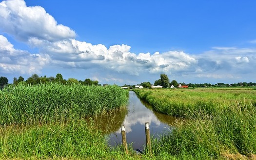 It's estimated that 200 Iowa communities struggle to treat for factory-farm pollutants caused by runoff from the state's large number of hog confinements. (MabelAmber/Pixabay)