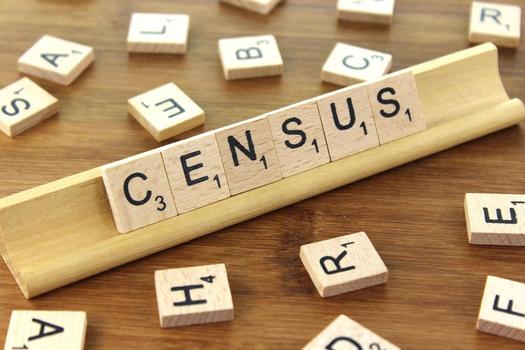 Despite a federal ruling blocking the Trump administration's move to add an untested citizenship question to the 2020 Census, the matter is widely expected to be resolved by the U.S. Supreme Court. (Alpha Stock Images)