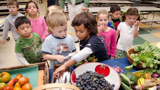 Research finds that kids retain retain lifelong healthy eating habits if they start eating nutritious food when they're young. (Lance Cheung/U.S. Dept. of Agriculture)