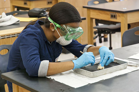 Groundbreaking Bill Introduced To Ban Animal Dissection In Ca Schools Public News Service