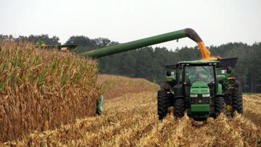 The Renewal Fuel Standard, once touted as a solution to America's energy woes, has driven land-use changes that contribute to more carbon in the atmosphere, according to new studies. (NC Cooperative Extension Service)