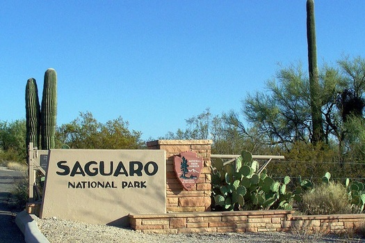 Saguaro National Park, home to Arizona's iconic cactus species, is among the state resources that make use of the Land and Water Conservation Fund. (WikimediaCommons)