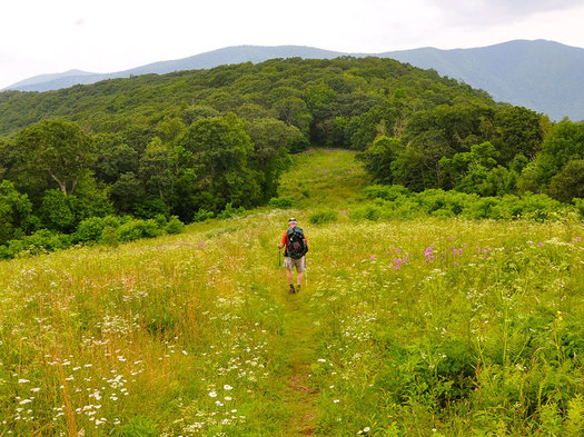Since 1965, the Land and Water Conservation Fund has tapped revenues from offshore oil and gas development to preserve public lands, including Great Smoky Mountains National Park. (National Park Service) 